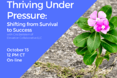 Promotional graphic for a webinar titled “Thriving Under Pressure: Shifting from Survival to Success” presented by Lawyers for the Creative Arts. Subtitle reads, “with Cris Beilstein of Elevation Collaborative LLC.” Event details: October 15, 12 PM CT, online. Registration link: “Register for FREE at law-arts.org.” The left half of the image has a bright blue background with white text. On the right, there is a close-up photo of a small plant with bright pink flowers growing out of a crack in gray pavement, symbolizing resilience and growth under pressure.