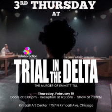 Promotional poster for a Lawyers for the Creative Arts Associate Board event titled “3rd Thursday at Trial in the Delta: The Murder of Emmett Till,” presented in collaboration with Collaboration for Social Change. The background image shows the silhouette of a person seated in the foreground, facing a staged courtroom scene with people seated at tables under dramatic lighting. Text on the image reads: “3rd Thursday at Trial in the Delta — The Murder of Emmett Till.” Noted as “3x Emmy Award Winning.” Event details: Thursday, February 19. Doors at 6:00 PM, reception at 6:30 PM, show at 7:30 PM. Location: Kimball Art Center, 1757 N. Kimball Ave, Chicago. Ticket information: Purchase tickets at collaboration.org. More info at law-arts.org.